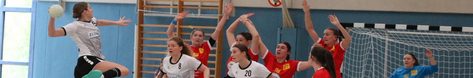 Handballspiel der HSG Linden